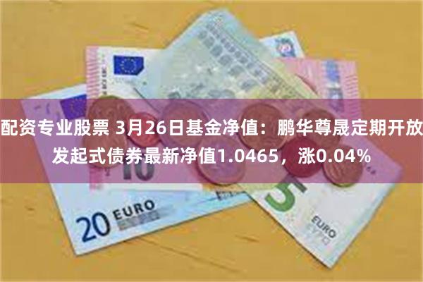 配资专业股票 3月26日基金净值：鹏华尊晟定期开放发起式债券最新净值1.0465，涨0.04%