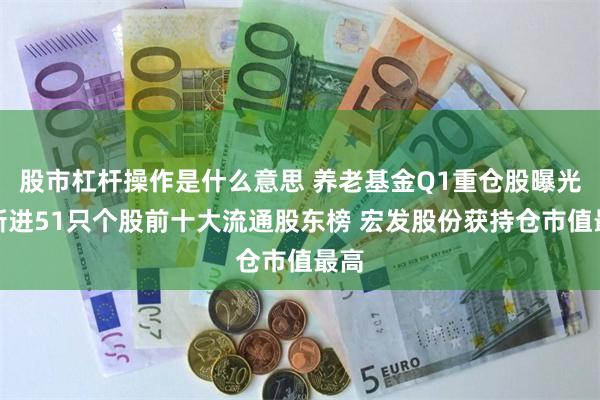 股市杠杆操作是什么意思 养老基金Q1重仓股曝光！新进51只个股前十大流通股东榜 宏发股份获持仓市值最高