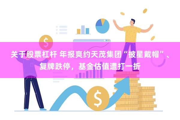关于股票杠杆 年报爽约天茂集团“披星戴帽”、复牌跌停，基金估值遭打一折