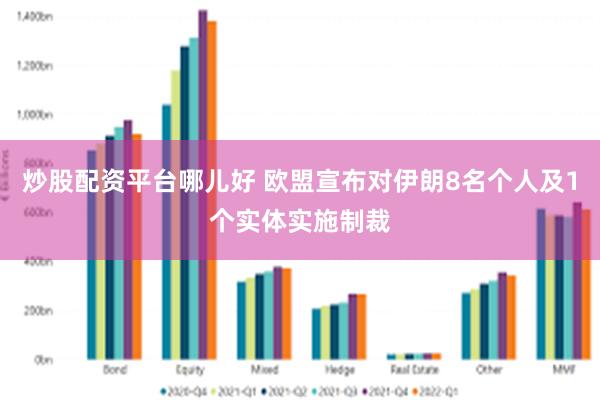 炒股配资平台哪儿好 欧盟宣布对伊朗8名个人及1个实体实施制裁