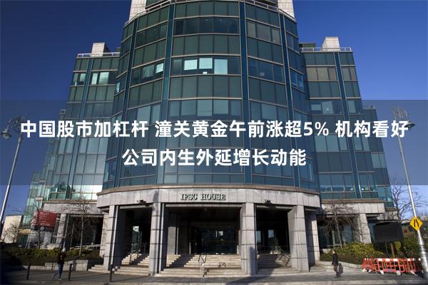 中国股市加杠杆 潼关黄金午前涨超5% 机构看好公司内生外延增长动能