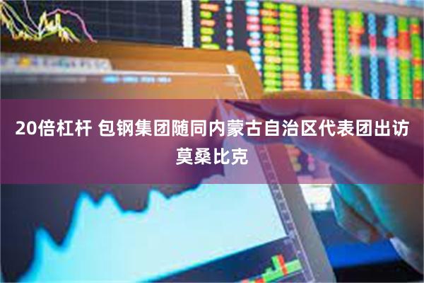 20倍杠杆 包钢集团随同内蒙古自治区代表团出访莫桑比克