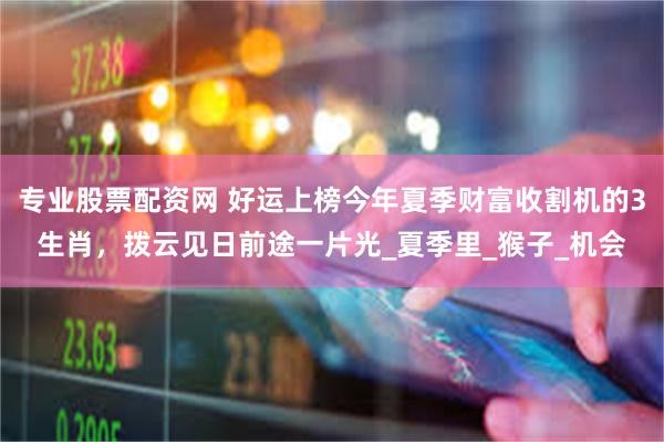 专业股票配资网 好运上榜今年夏季财富收割机的3生肖，拨云见日前途一片光_夏季里_猴子_机会
