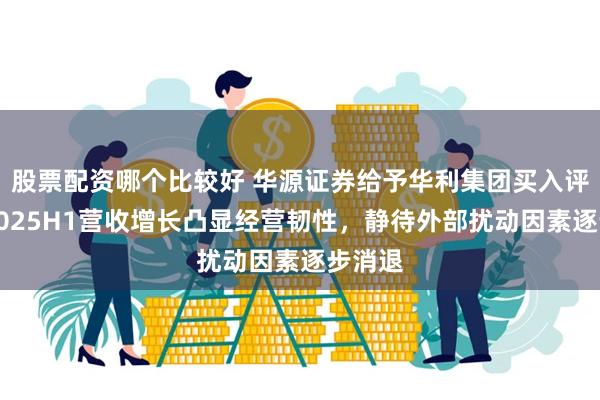 股票配资哪个比较好 华源证券给予华利集团买入评级，2025H1营收增长凸显经营韧性，静待外部扰动因素逐步消退