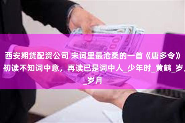 西安期货配资公司 宋词里最沧桑的一首《唐多令》，初读不知词中意，再读已是词中人_少年时_黄鹤_岁月