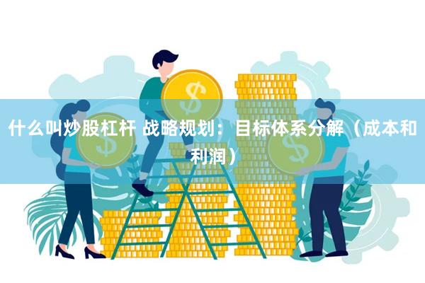 什么叫炒股杠杆 战略规划：目标体系分解（成本和利润）